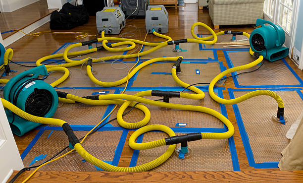 Professional Water Damage Repair technician working in Folsom, PA
